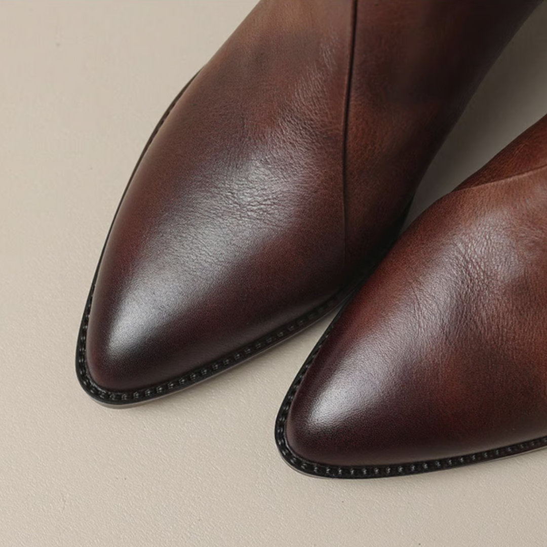 Carmela | Pointed Toe Ankle Heel Boots